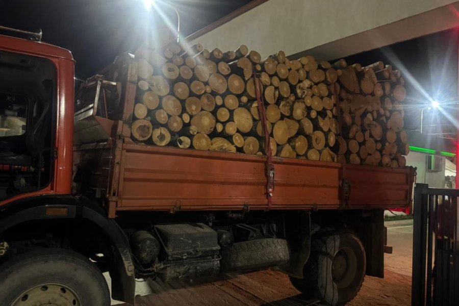 IKMT bllokon 3 automjete me lëndë drusore në Prekal të Shkodrës