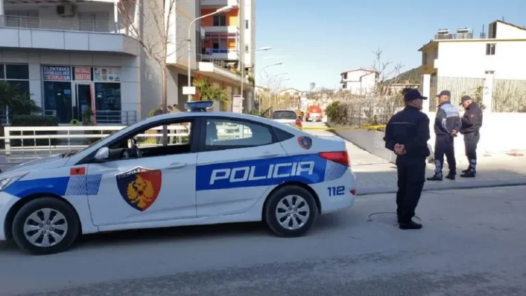 E rëndë në Kavajë, u godit me thikë nga vëllai, humb jetën një person