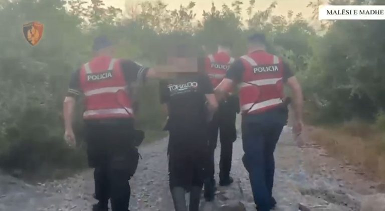 U kapën me 306 bimë narkotike, arrestohen dy persona në Malësi të Madhe