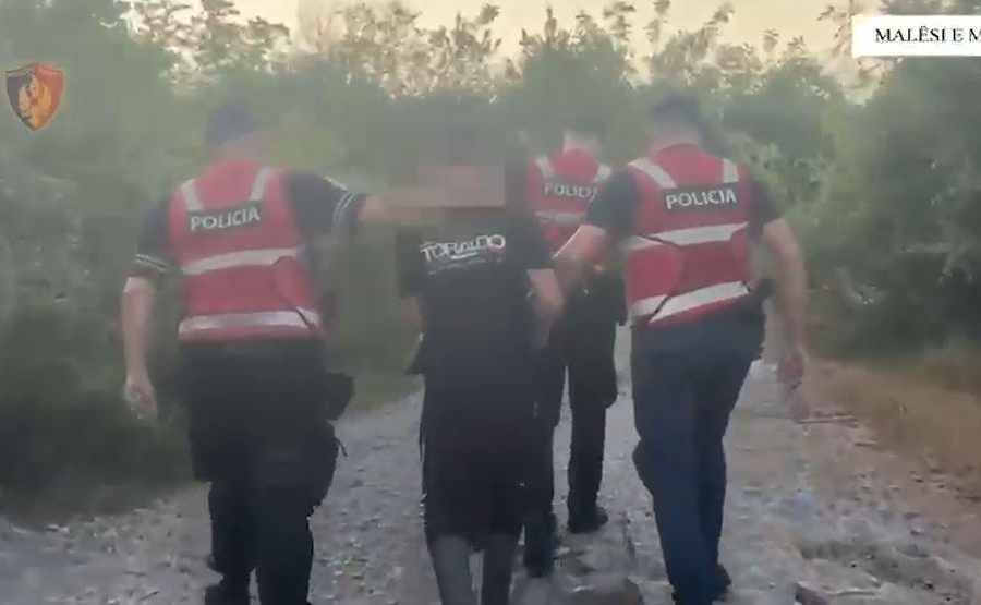 U kapën me 306 bimë narkotike, arrestohen dy persona në Malësi të Madhe