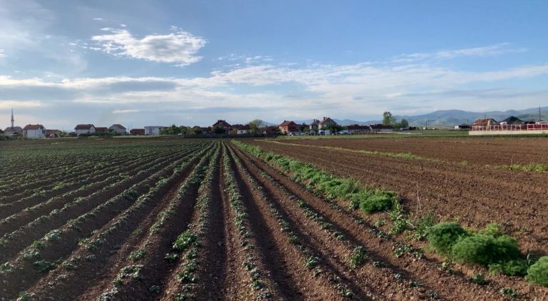 40 mijë kërkesa, shtyhet edhe 10 ditë afati i aplikimeve për subvencionet e fermerëve