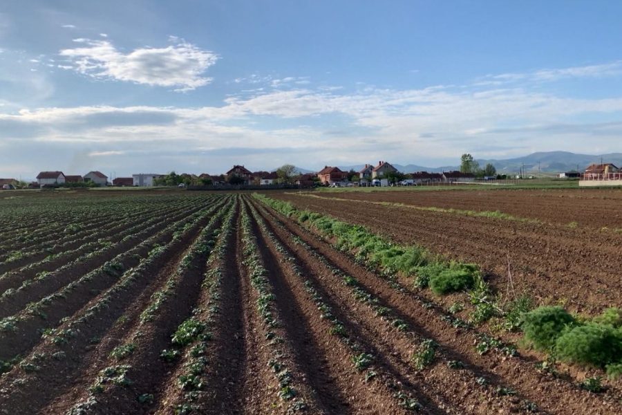 40 mijë kërkesa, shtyhet edhe 10 ditë afati i aplikimeve për subvencionet e fermerëve