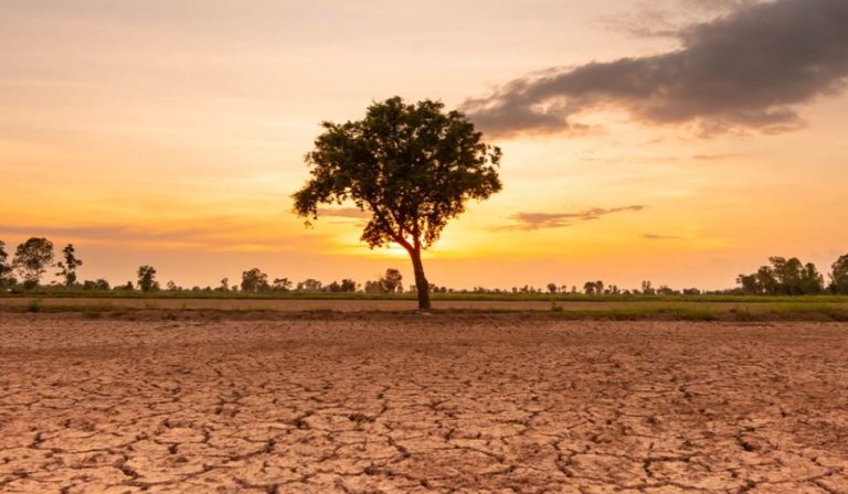Agjencia amerikane NOAA: Fenomeni klimatik El Niño ka nisur