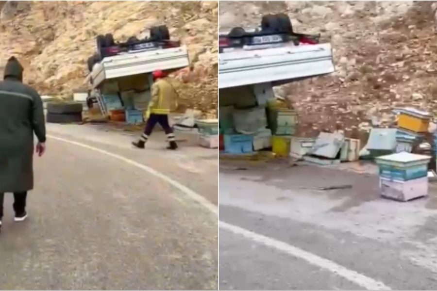 Aksident në Mallakastër, kamioni me koshere del nga rruga dhe përmbyset, bletët shpërndahen në zonë (VIDEO)