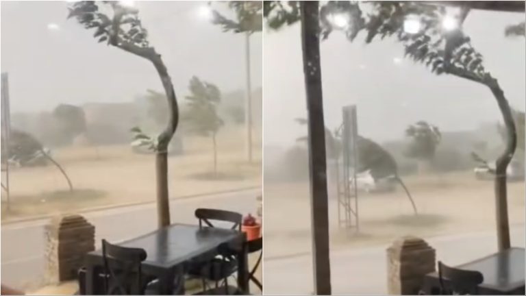 Stuhi e fortë në Vranisht, Lumi i Vlorës përfshihet nga reshje intensive dhe erë e fuqishme (VIDEO)