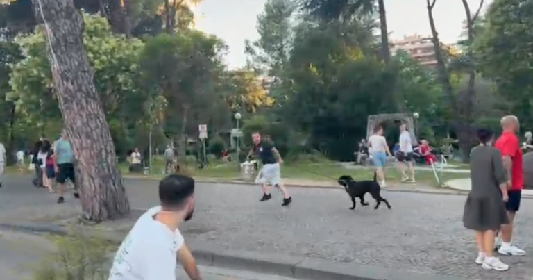 Dalin pamjet, protestuesit ndjekin të riun me pitbull pas përplasjes verbale