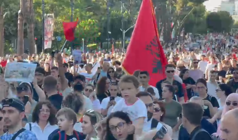 Humb një fëmijë i vogël mes turmës së protestuesve