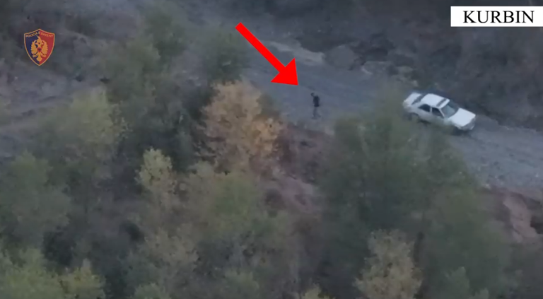 Kishin kultivuar bimë narkotike, arrestohen dy të rinj në Kurbin. Sekuestrohet një makinë (VIDEO)