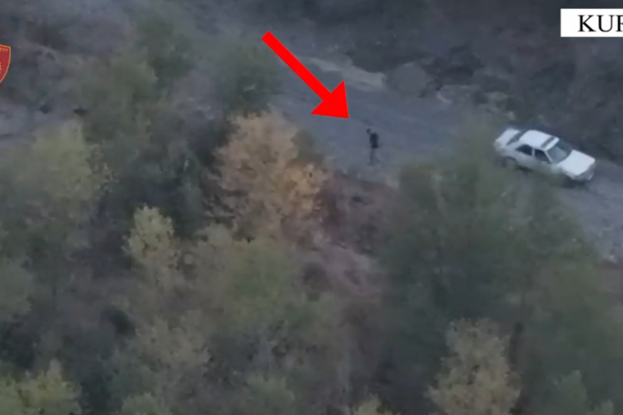 Kishin kultivuar bimë narkotike, arrestohen dy të rinj në Kurbin. Sekuestrohet një makinë (VIDEO)
