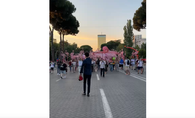 ‘Flamingot’ marshojnë në rrugët e Tiranës (VIDEO)