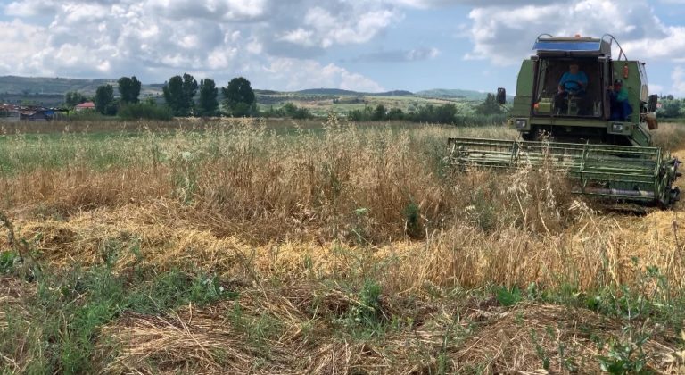 Prodhimi bujqësor arrin në 9,7 milionë tonë, shtohen perimet, bien drithërat dhe frutat 