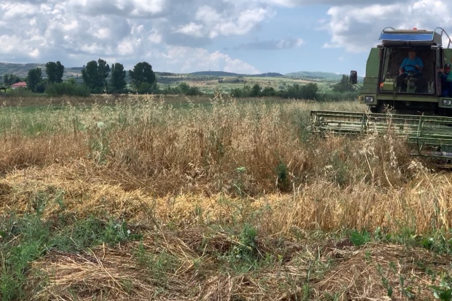 Prodhimi bujqësor arrin në 9,7 milionë tonë, shtohen perimet, bien drithërat dhe frutat 