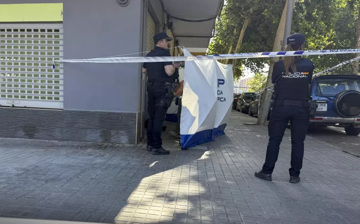 Babai 24-vjeçar vret logopedin në Valencia, dyshonte se ai kishte abuzuar me djalin e tij të mitur
