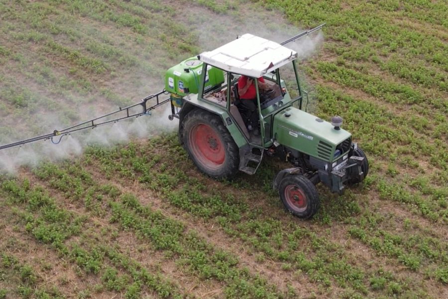 Greqia merr 5,000 punëtorë sezonalë nga Egjipti për bujqësinë
