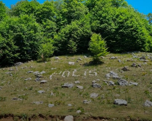 Të humbur prej disa orësh në zonën malore të Polisit, nisin kërkimet për dy turistët gjermanë