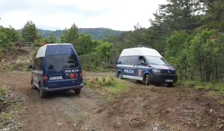 I biri vrau një polic dhe plagosi një tjetër, merret në pyetje nga autoritetet nëna e Violand Braçellarit