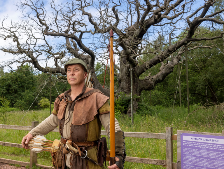 Lisi 1200-vjeçar i Robin Hood thahet në pyllin Sherwood, shkak vizitorët e shumtë dhe temperaturat e larta