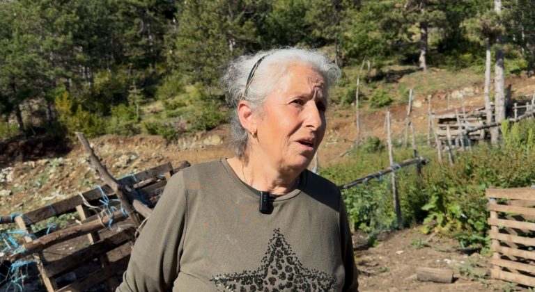 Djali vrau një efektiv dhe plagosi një tjetër, flet për herë të parë nëna e Violand Braçellarit