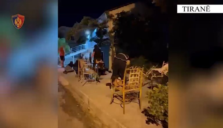 Goditet grupi kriminal që shpërndante drogë pranë shkollave, 14 të arrestuar (VIDEO)