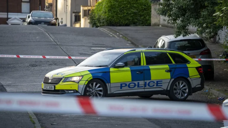 Sulm me thikë në Irlandë, një i plagosur rëndë. Arrestohet autori