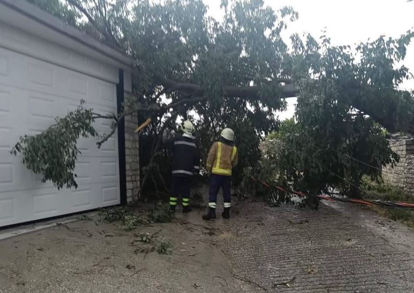 Rrufeja shkakton zjarr në Dropull, era e fortë rrëzon pemë dhe bllokon rrugën