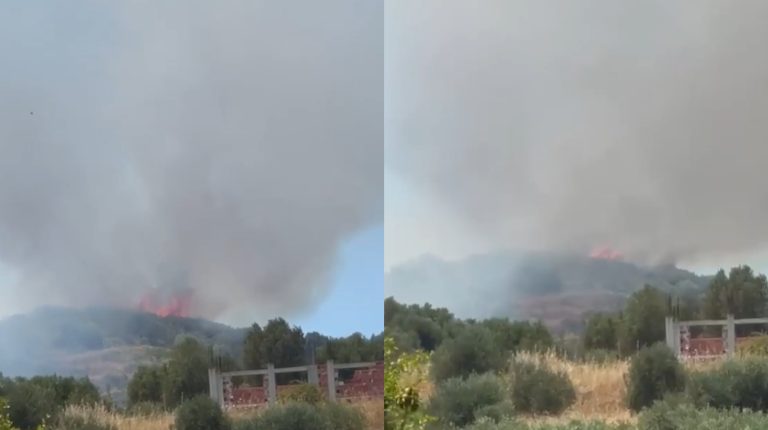 Zjarr i përmasave të mëdha përfshin fshatin Llakatund, era favorizon flakët (VIDEO)