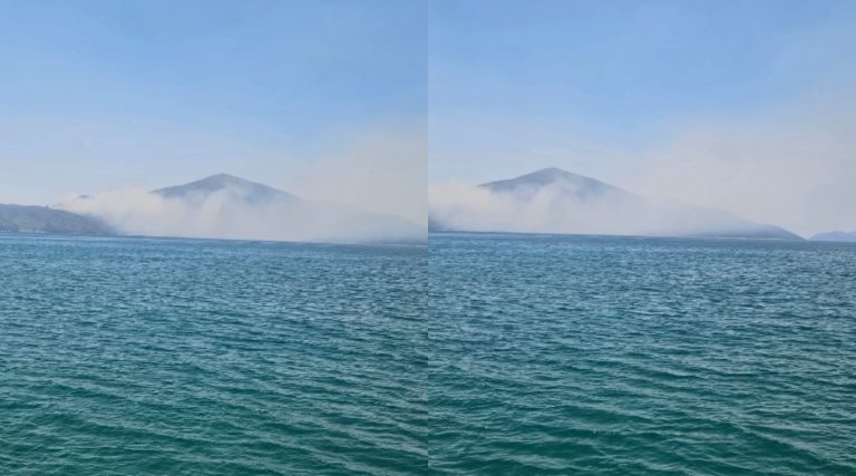 Vatër zjarri në Karaburun, tymi mbulon një pjesë të zonës (VIDEO)
