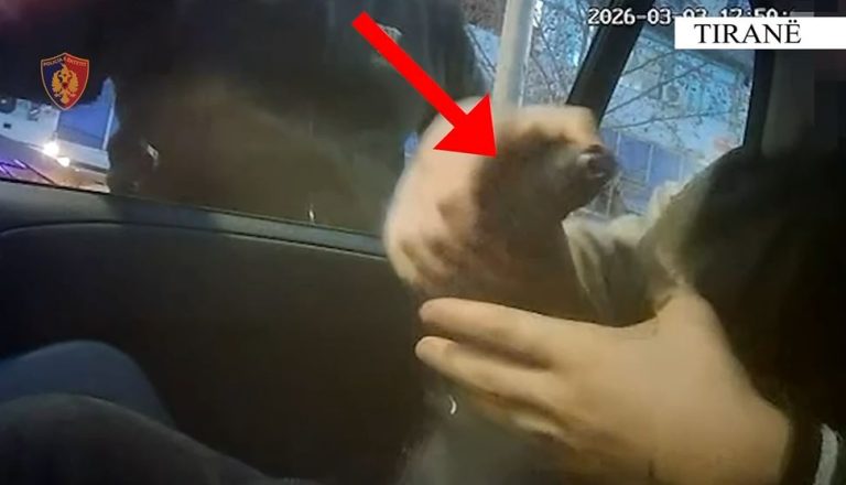 Pamje nga operacioni në Fresk, u sekuestruan 7 armë zjarri dhe municion luftarak, 4 në pranga (VIDEO)