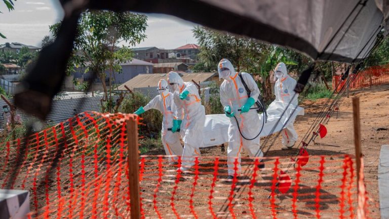 OBSH do nisë provë klinike për trajtime të reja kundër Ebolës në Kongo