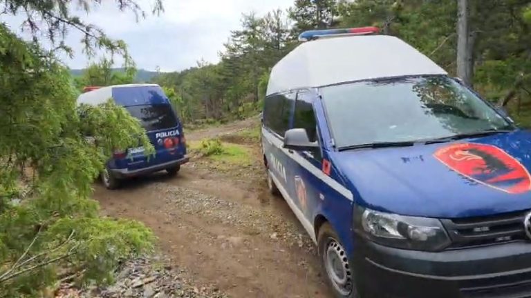 Autori ish-ushtarak bënte qitje në pyll, pamje nga vendi ku u vra polici në Maliq (VIDEO)