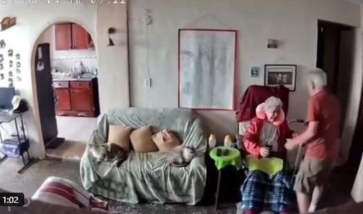Video prekëse: Burri i moshuar mban gruan e tij për ta qetësuar gjatë tërmetit, brenda apartamentit të tyre