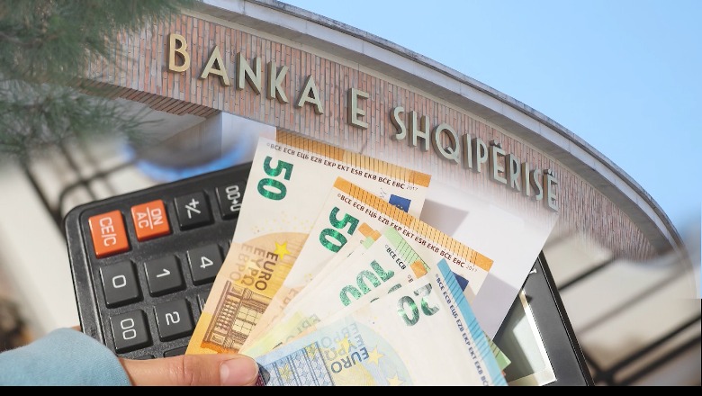 Shqipëria një hap larg kalimit në euro