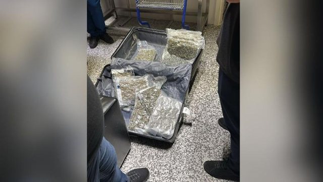 Sekuestrohen 46 kg kanabis në Rinas pas kontrollit të fluturimit Toronto-Tiranë, dy persona nën hetim