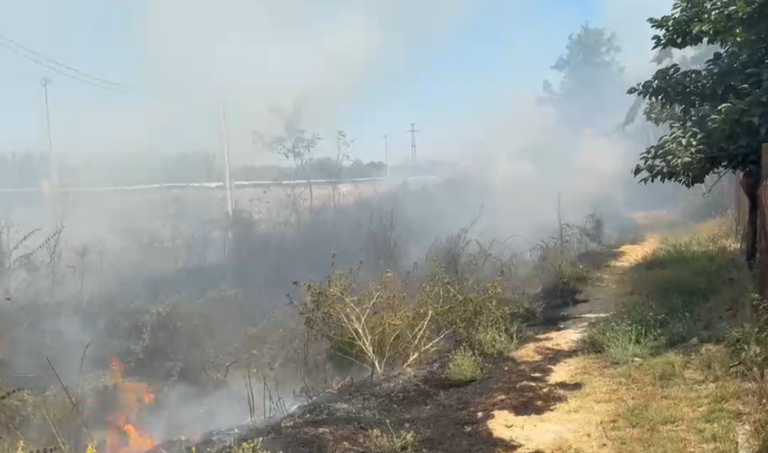Zjarr në Novoselë, zjarrfikëset në vendngjarje. Rrezikohen banesat pranë (VIDEO)