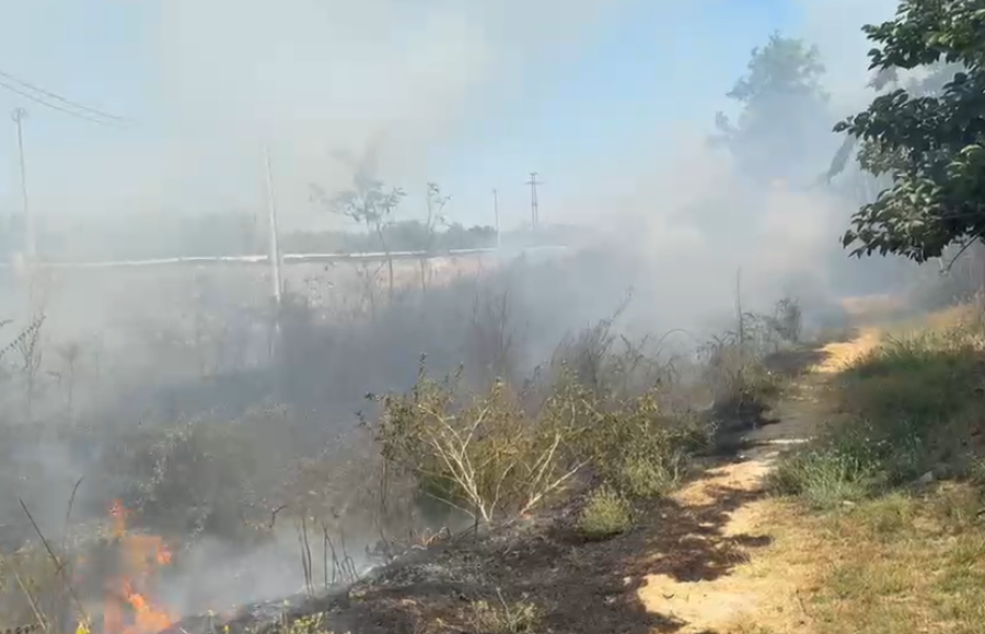 Zjarr në Novoselë, zjarrfikëset në vendngjarje. Rrezikohen banesat pranë (VIDEO)