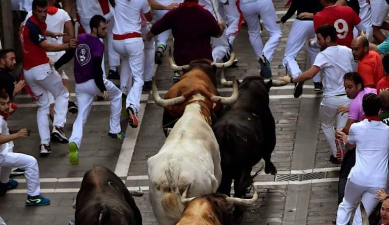 Përfundon San Fermin, 57 të plagosur gjatë vrapimeve tradicionale me dema në Spanjë