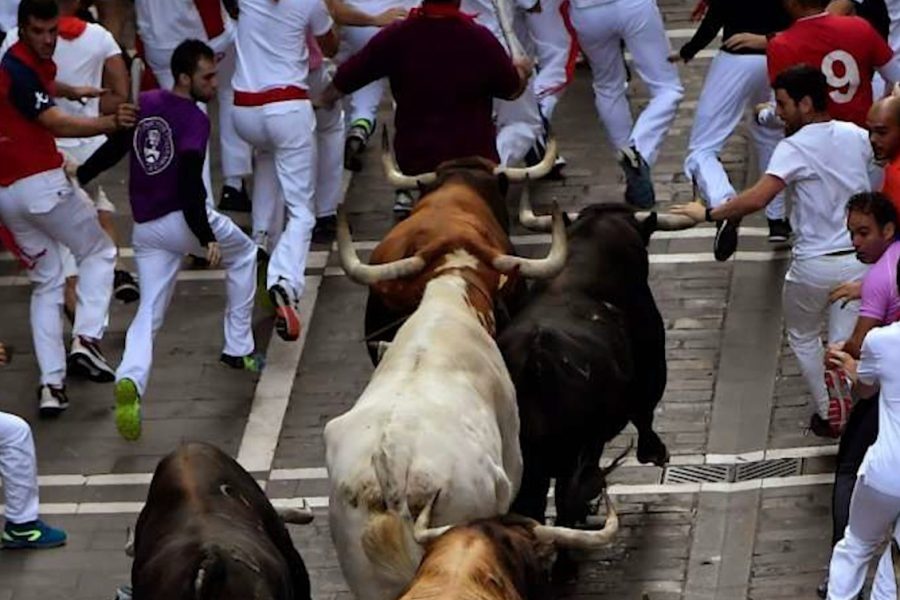 Përfundon San Fermin, 57 të plagosur gjatë vrapimeve tradicionale me dema në Spanjë