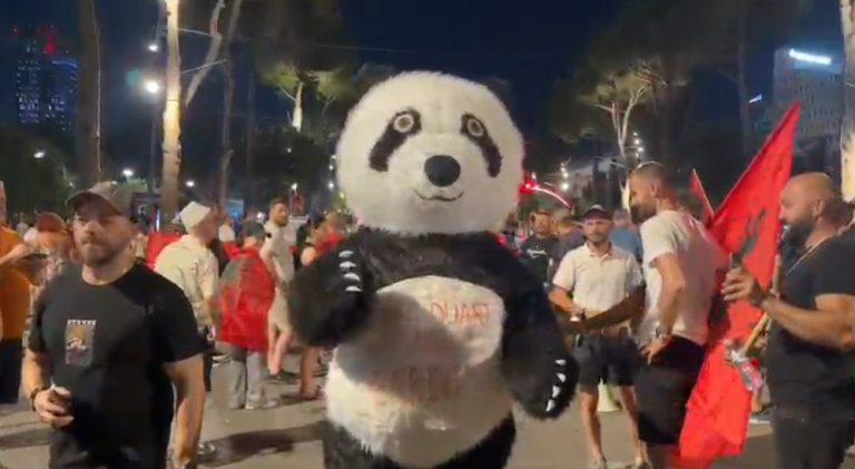 “Larg duart nga e ardhmja”, panda-maskot i bashkohet protestës në ditën e 40-të (VIDEO)