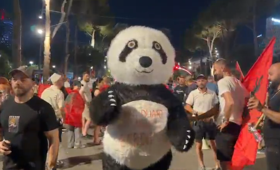 “Larg duart nga e ardhmja”, panda-maskot i bashkohet protestës në ditën e 40-të (VIDEO)