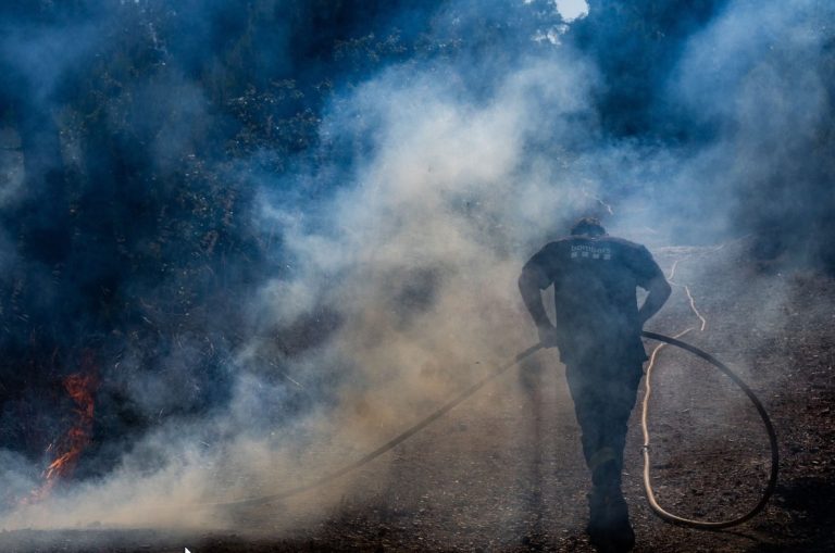 Shtohet zjarret nga temperaturat e larta në Spanjë, regjistrohen 12 viktima në Almeria