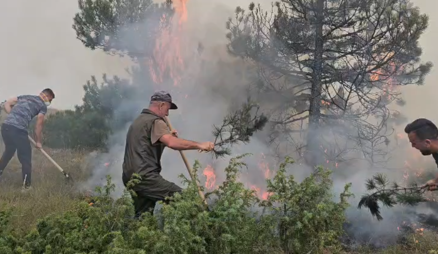 116 forca në terren, vijon puna për shuarjen e zjarrit mes Lekasit dhe Voskopojës (VIDEO)
