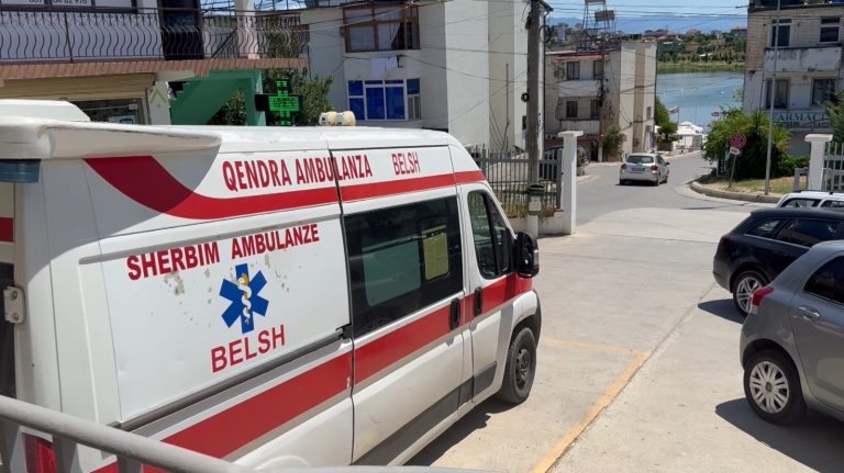 Temperaturat e larta rrisin rastet e pickimeve, 35 raste në javë në spitalin e Belshit