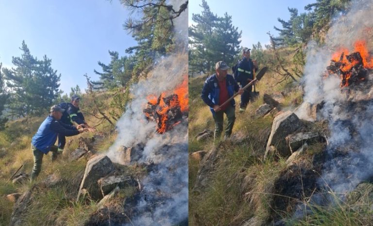 Riaktivizohet sërish në ditën e tretë zjarri në fshatin Lekas dhe Voskopojë, digjet pylli dhe pishat