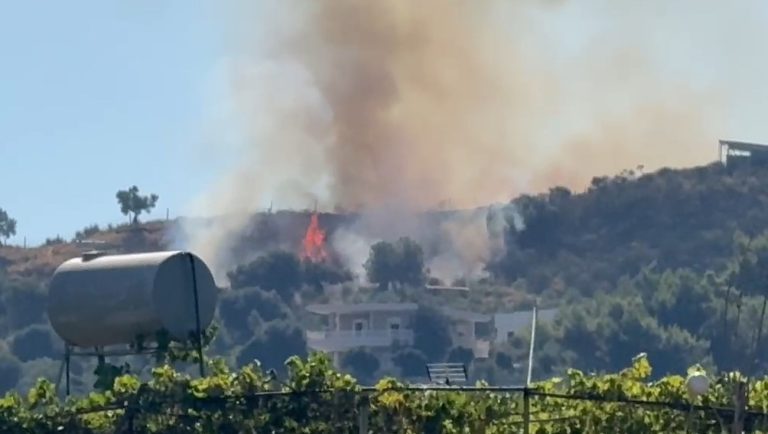 Ndizet një vatër zjarri në lagjen “15 Tetori” të Vlorës, rrezikohen banesat pranë (VIDEO)