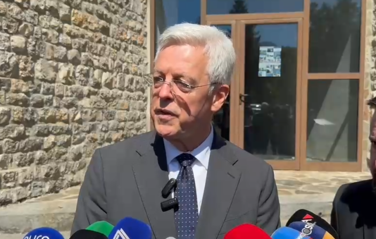 Ambasadori Bergner: Protestat janë të mirëpritura kur mbështesin vlerat e Bashkimit Evropian