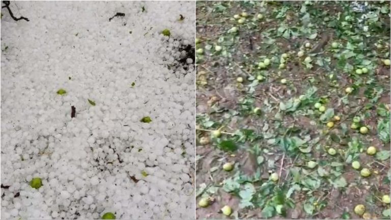 Breshëri godet Zavalinën në Elbasan, dëme të mëdha në pemët frutore dhe kulturat bujqësore (VIDEO)