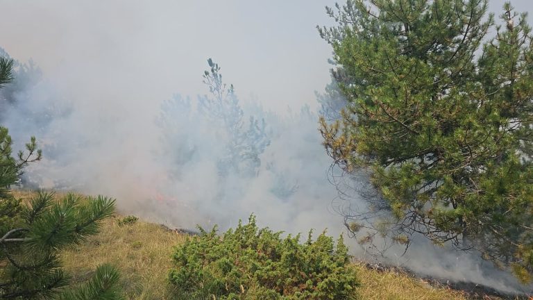 Riaktivizohet sërish në ditën e tretë zjarri në fshatin Lekas dhe Voskopojë, digjet pylli dhe pishat