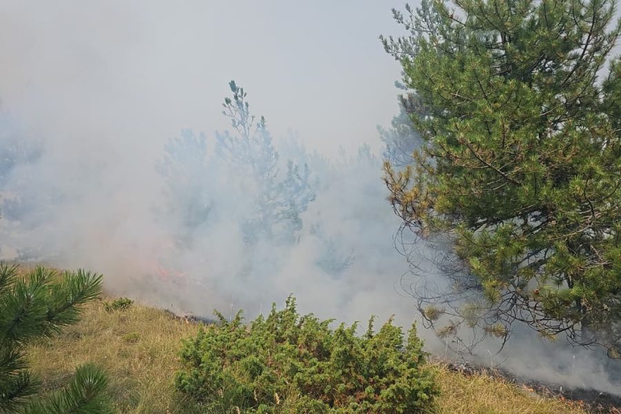 Riaktivizohet sërish në ditën e tretë zjarri në fshatin Lekas dhe Voskopojë, digjet pylli dhe pishat