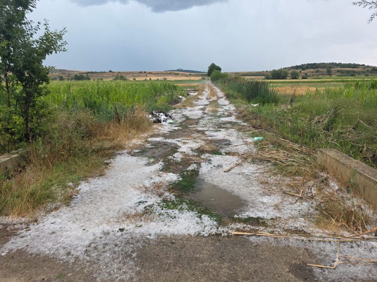 Reshje breshëri në Devoll, dëme në bujqësi (FOTO)