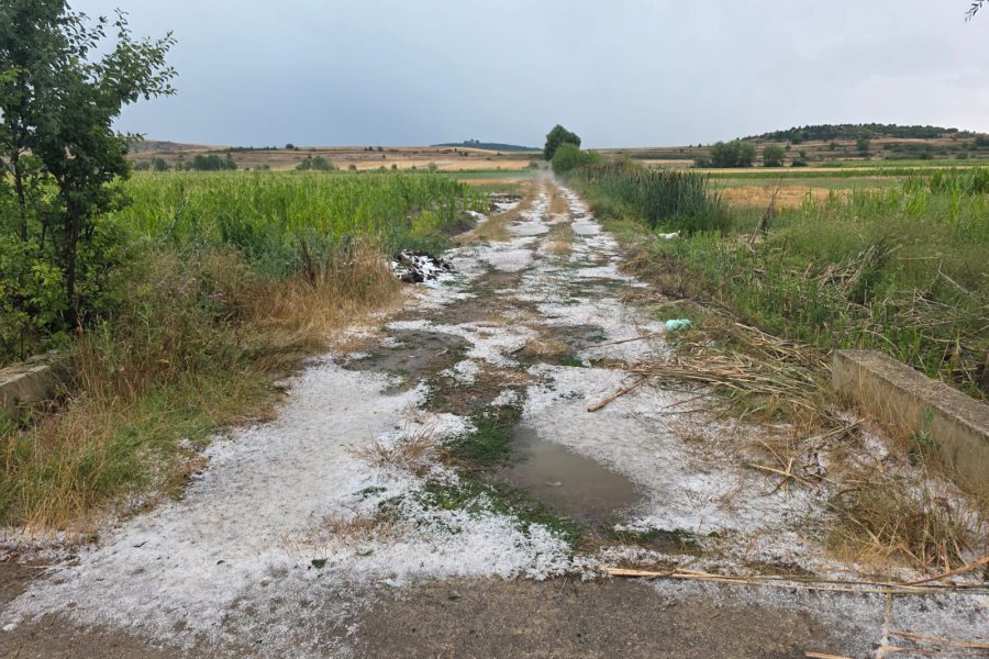 Reshje breshëri në Devoll, dëme në bujqësi (FOTO)